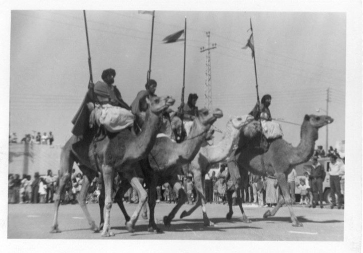 Марокканская кавалерия