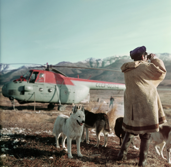 Фото №7 - Удивительная история ездовых собак в СССР