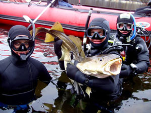мужчины на подводной рыбалке